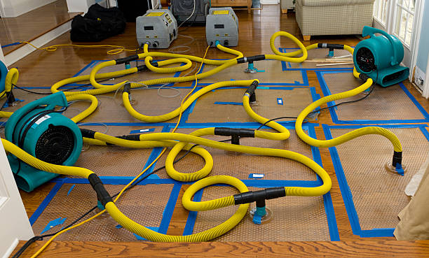 Professional Water Damage Restoration technician working in Watertown, MN
